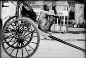IIP Online Student Photography